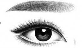 纹绣爆料视频大全下载,揭秘行业幕后真相