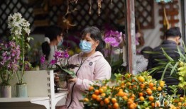 花街最新视频在线观看